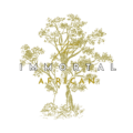 Immortal African